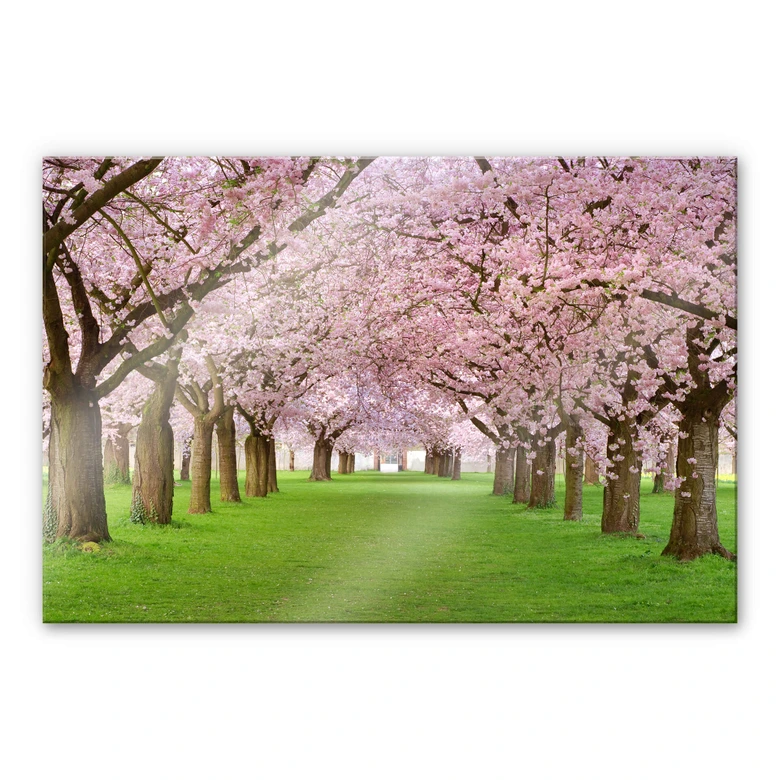 Acrylic glass Spring 