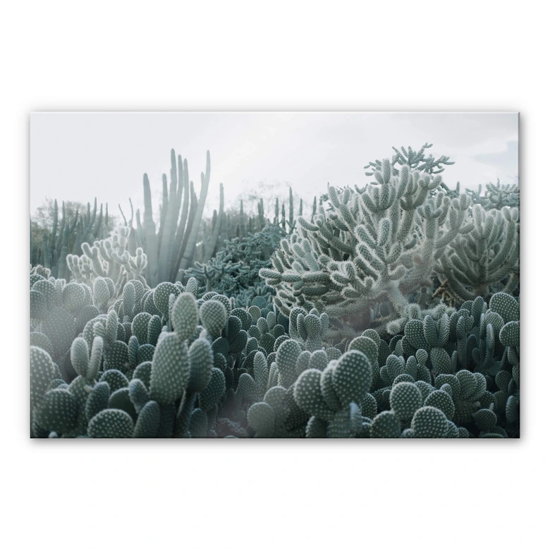 Acrylglas Vetplanten 
