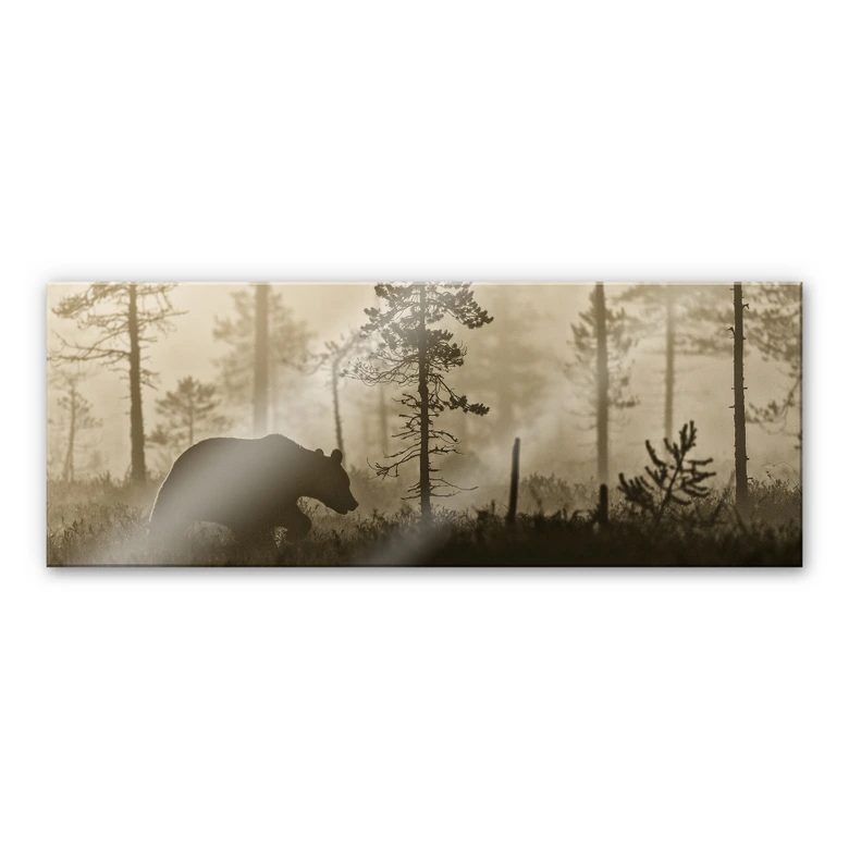 Acrylglasbild Ove Linde - Nebel am Morgen - Panorama 