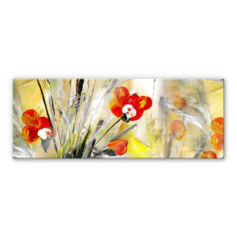 Acrylglasbild Niksic - Kleiner Mohn - Panorama 