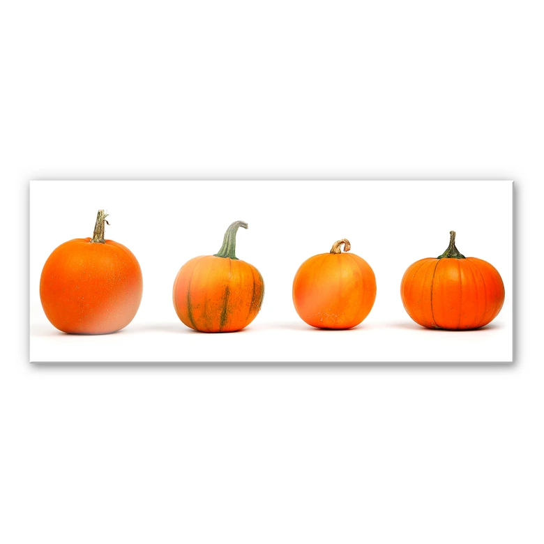 Acrylglas Pompoensoorten - Panorama 