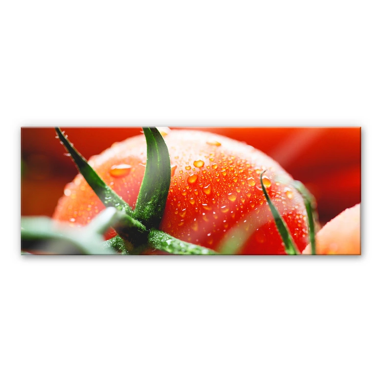 Acrylglas Fresh Tomato - Panorama 
