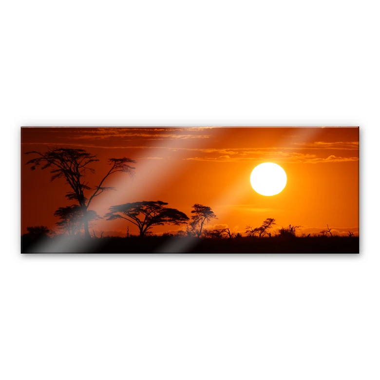 African Steppe - Panorama Acrylic print 