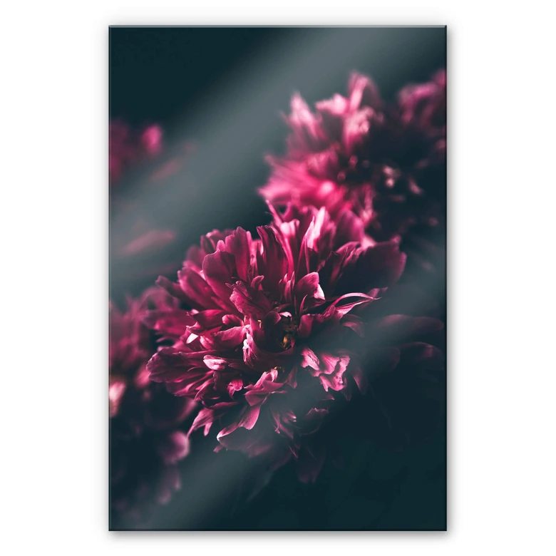 Acrylglasbild Pink Flower Dream 01 