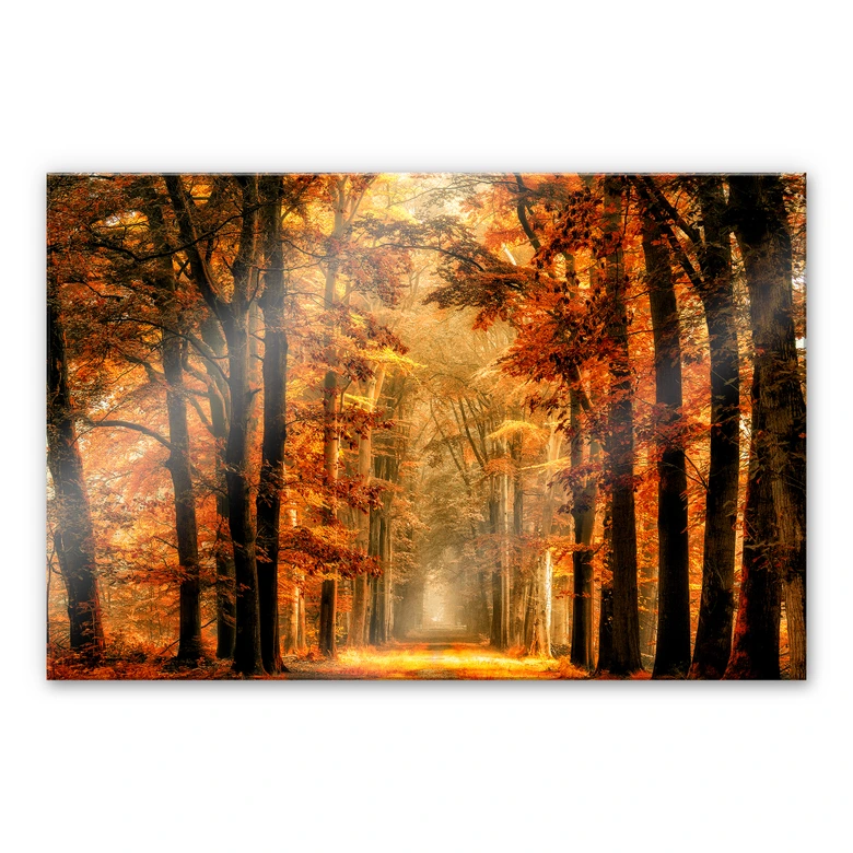 Acrylglasbild van de Goor - Herbstallee 