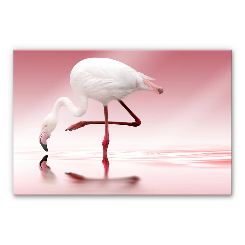 Acrylic glass Reindl - Pink Flamingo 