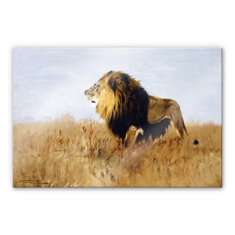 Acrylglas Jagende Leeuw 