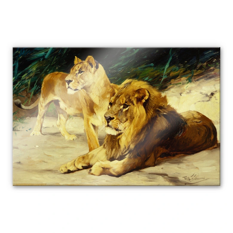 Tableau en verre acrylique - Kuhnert - Couple de lions 