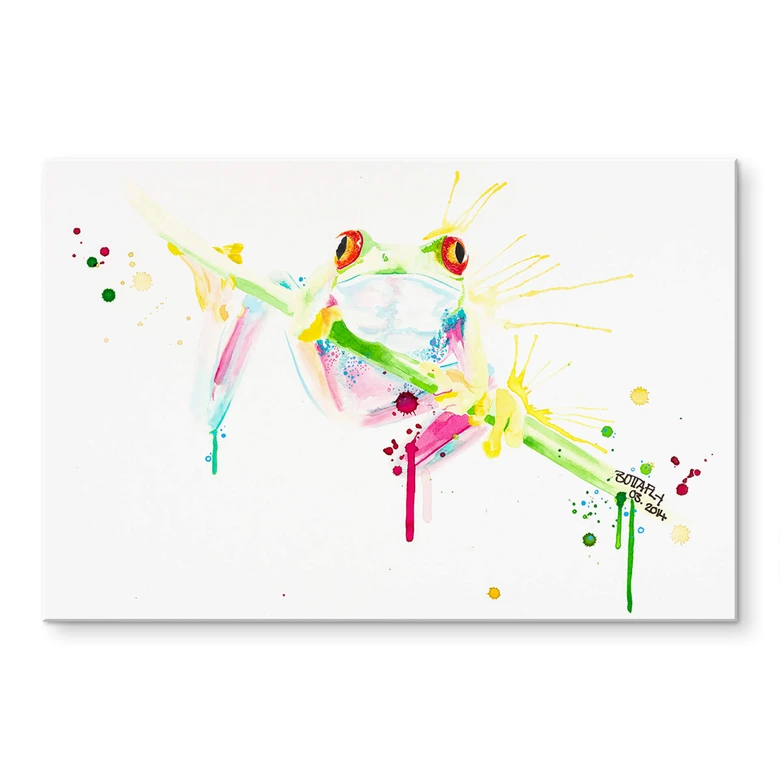Acrylglasbild Buttafly - Frog 