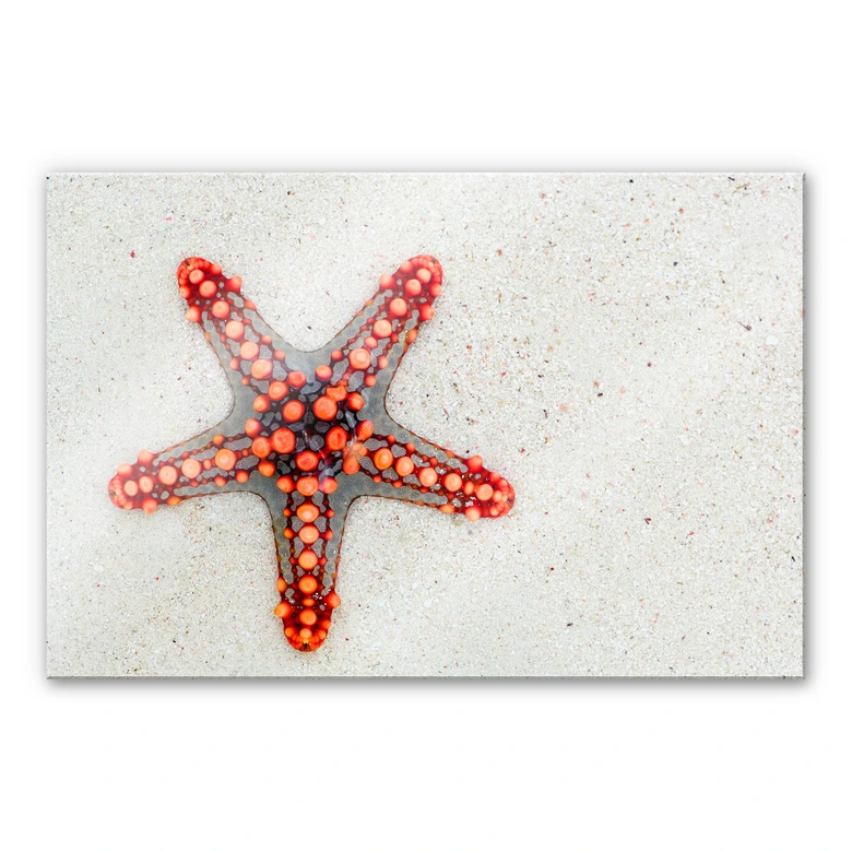 Acrylglasbild Leuchtender Seestern 