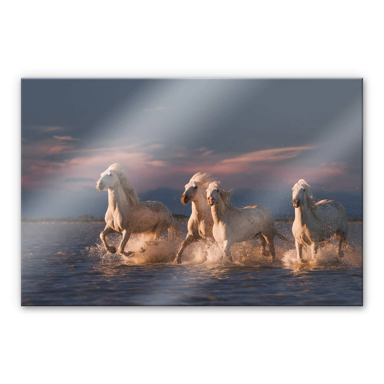 Acrylglasbild Rostovskiy - Angels of Camargue 