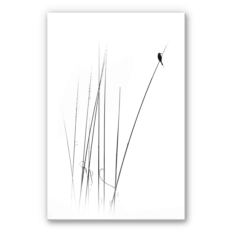 Acrylglasbild Swapnil - Auszeit 