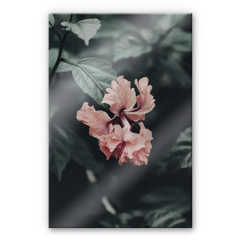 Acrylglasbild Tropische Blüte 
