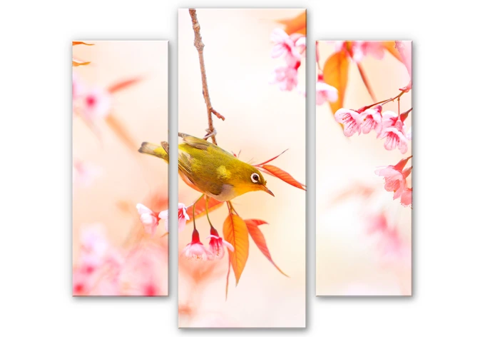 Acrylglasbild Vogelgezwitscher in der Kirschblüte (3-teilig) 