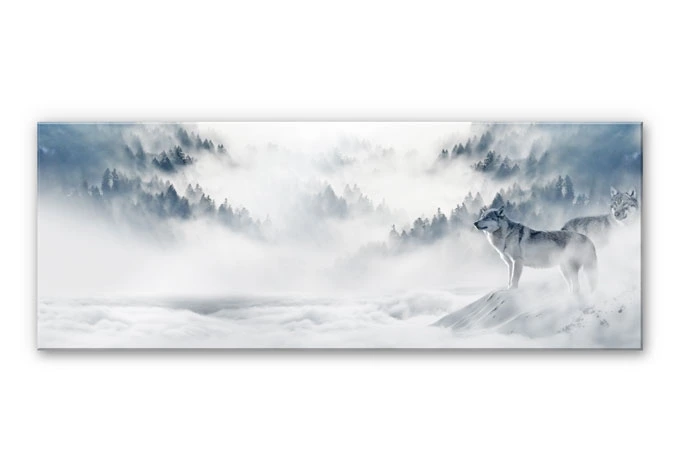 Acrylglasbild - Wölfe im Schnee - Panorama 
