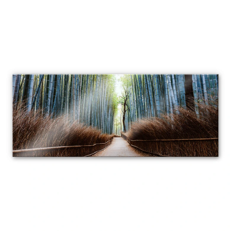 Acrylglasbild Colombo - Die Bambushöhle in Japan - Panorama 