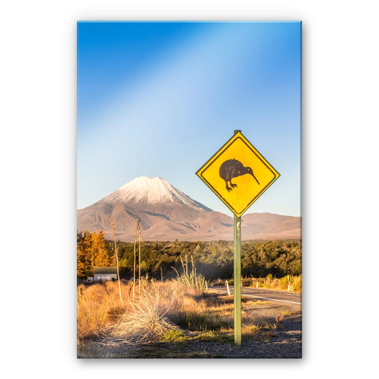 Acrylglasbild Colombo - Straßenschild: Achtung Kiwi 