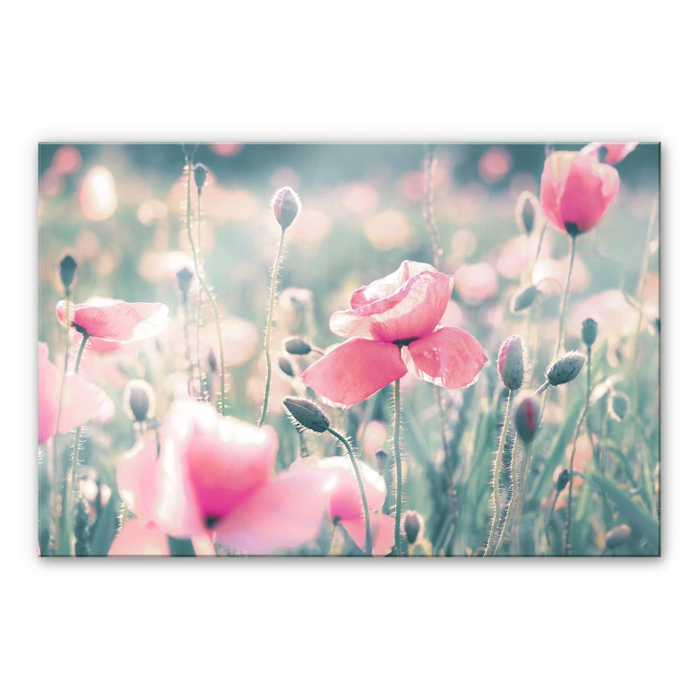 Tableau en verre acrylique Delgado - Moments de coquelicots 