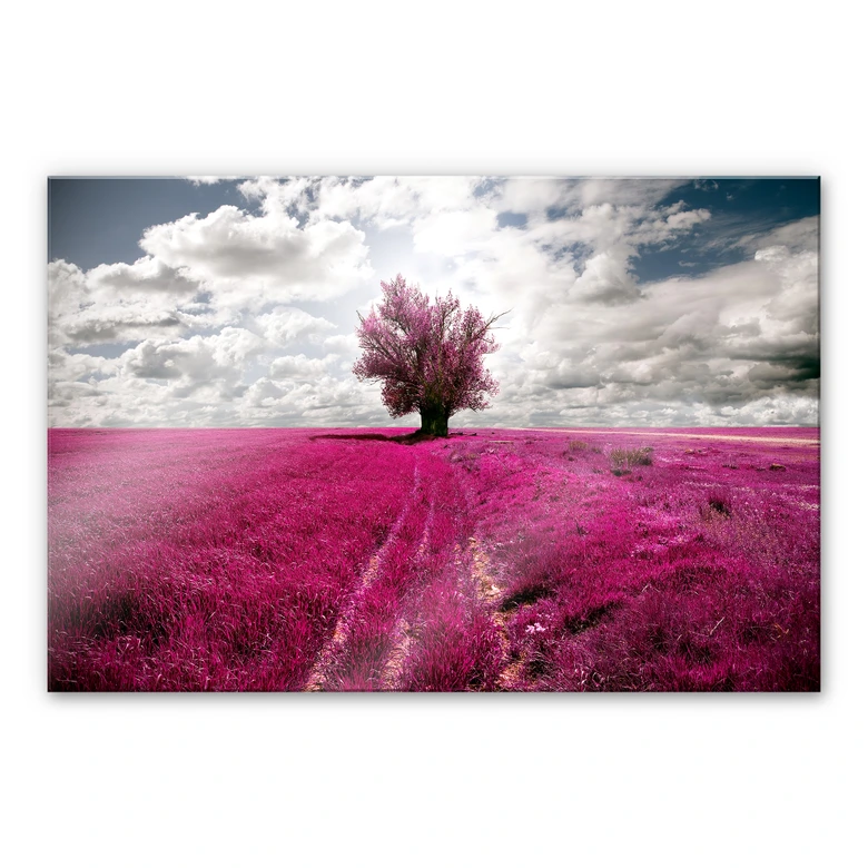 Acrylglasbild The Lonely Tree 