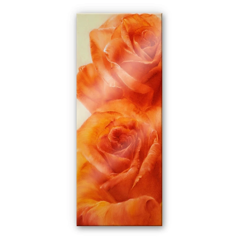 Acrylglasbild Schmucker - Rosen 