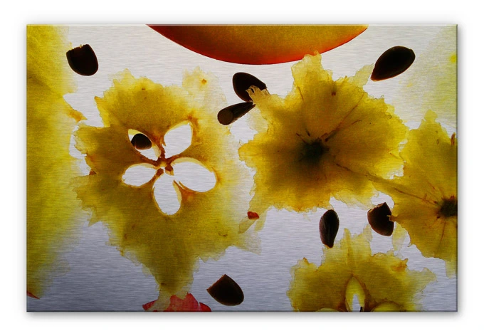 Alu-Dibond Bild Abstract Fruit 