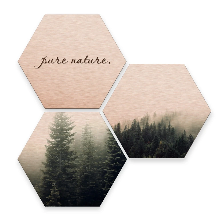 Hexagon - Alu-Dibond-Kupfereffekt - Pure Nature Wald (3er Set) 