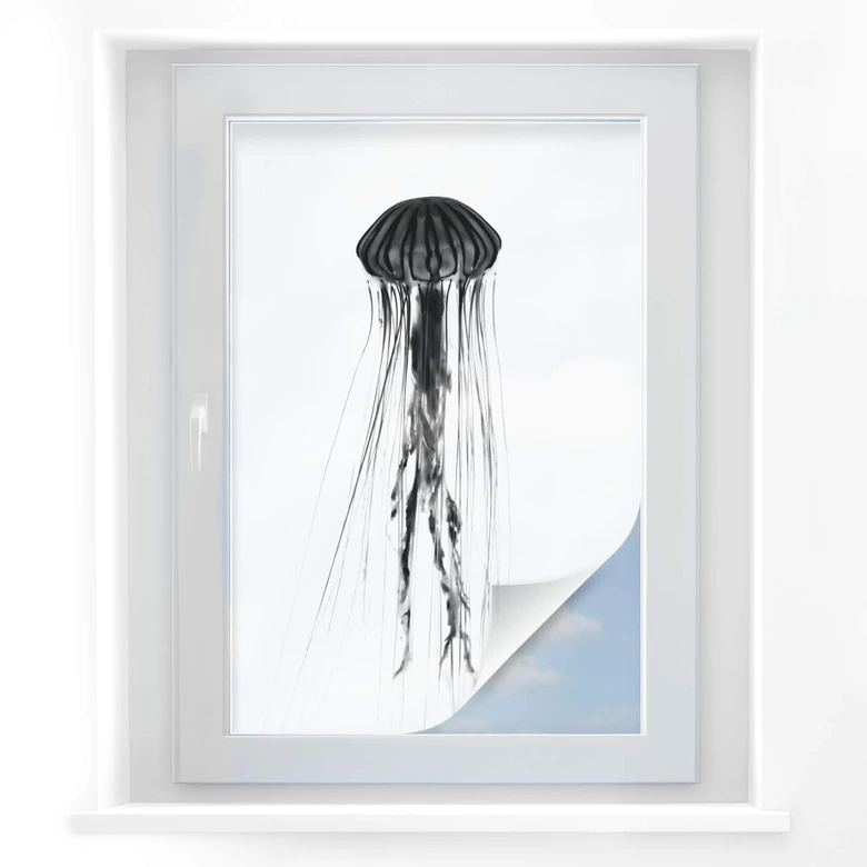 Window foil Black Jellyfish 