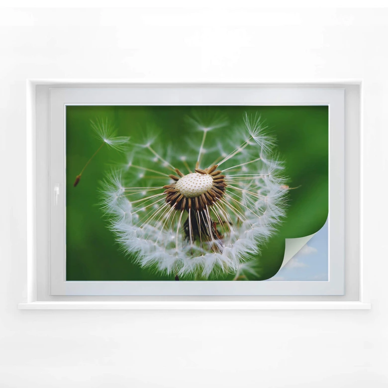 Sichtschutzfolie Pusteblume im Wind 