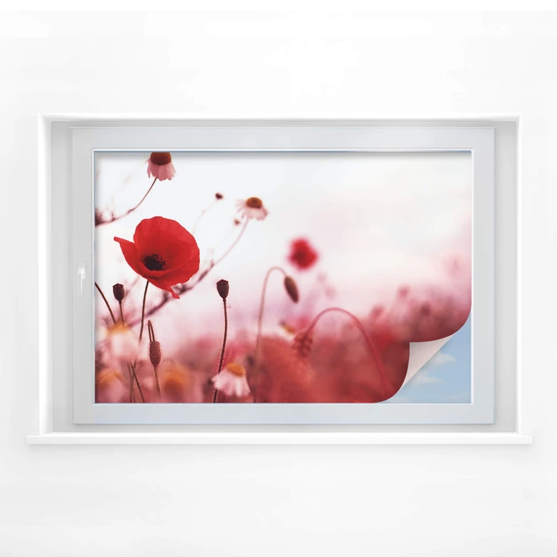 Intimidad película amapola impresiones 