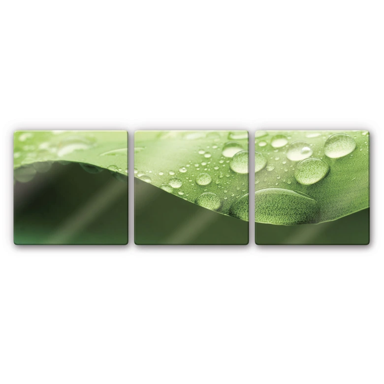Nature 3 Glass art (3 parts) 