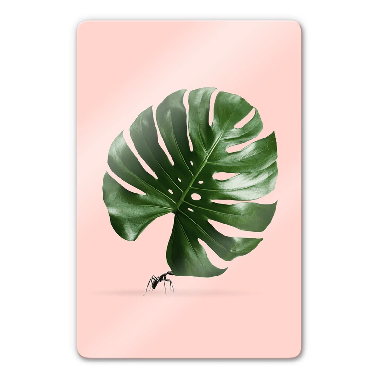 Glasbild Loose - Monstera Ant 