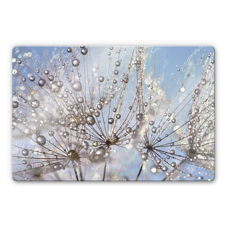Glasbild Delgado - Wassertropfen in der Pusteblume 