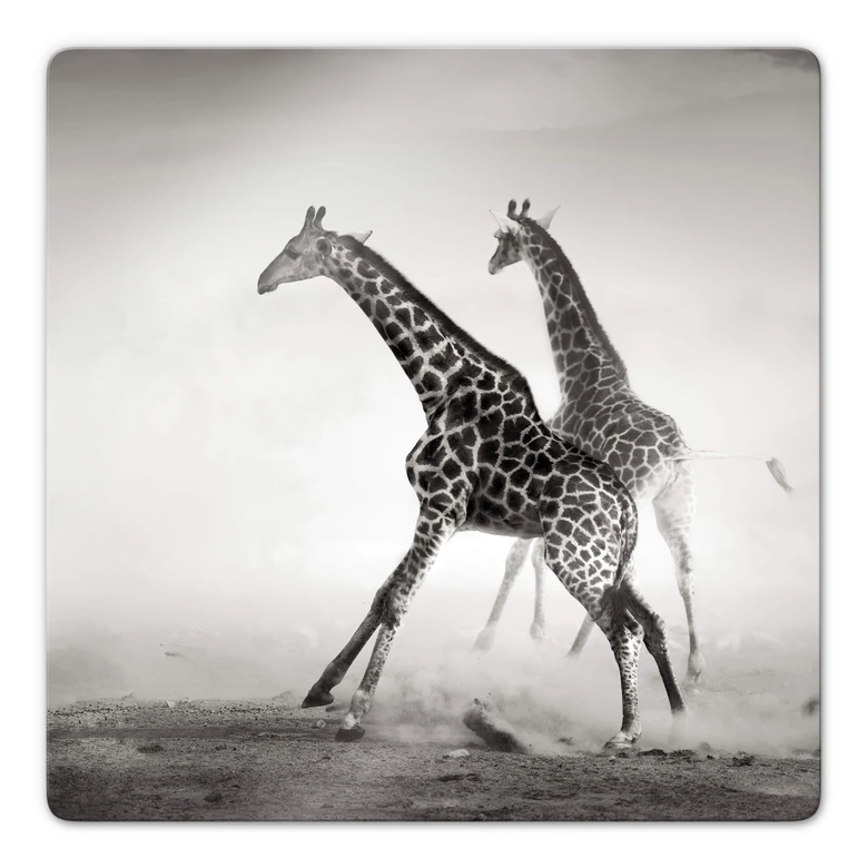 Glasbild Die Flucht - quadratisch 