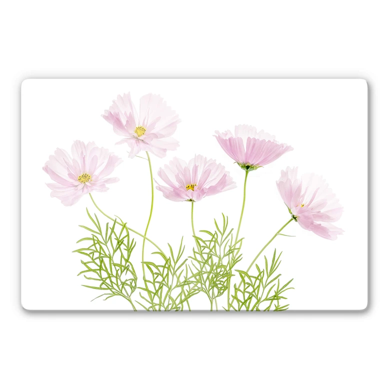 Glasbild Disher - Sommerblume 