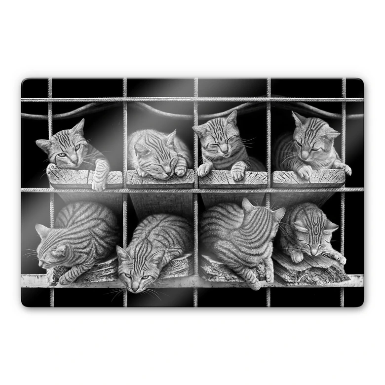 Glasbild Heine - Die Katze 