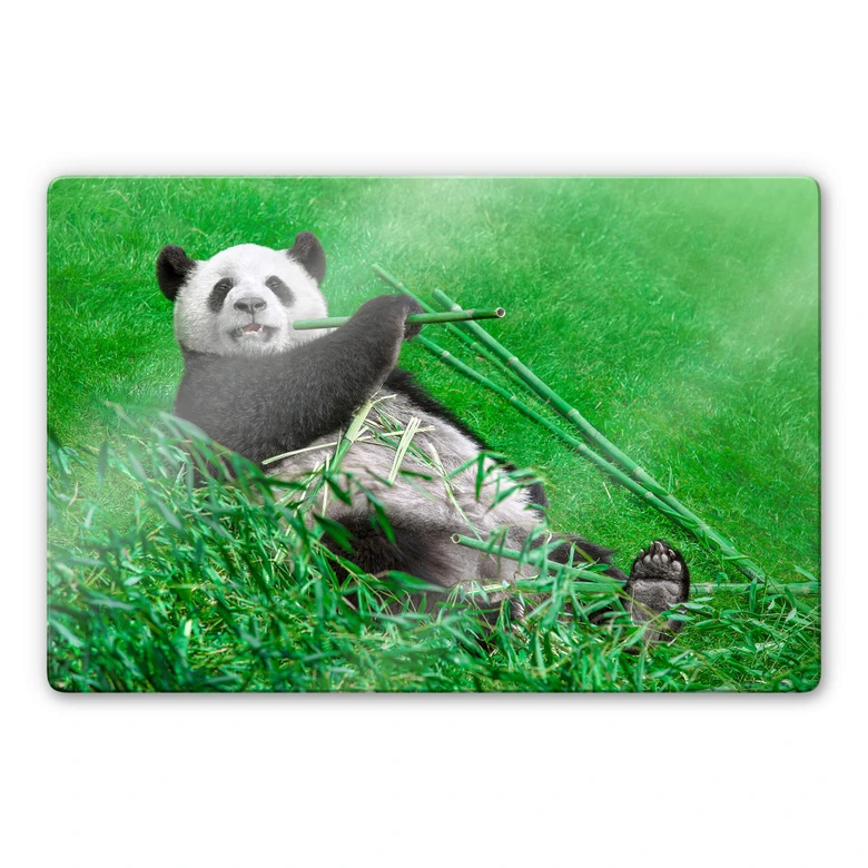 Glasbild Ben Heine - Glücklicher Panda 