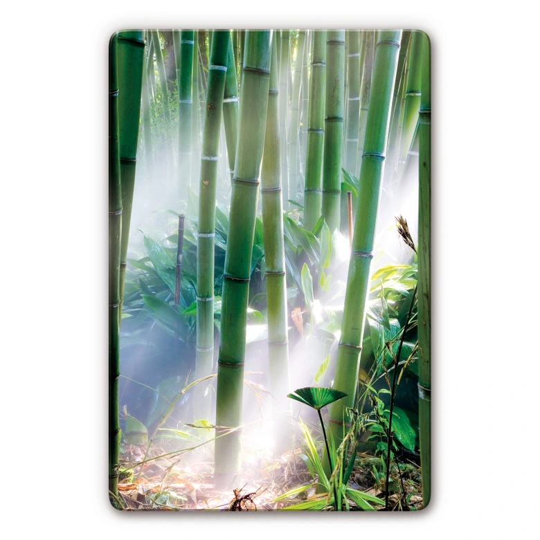 Tableau en verre - Bamboo Forest 