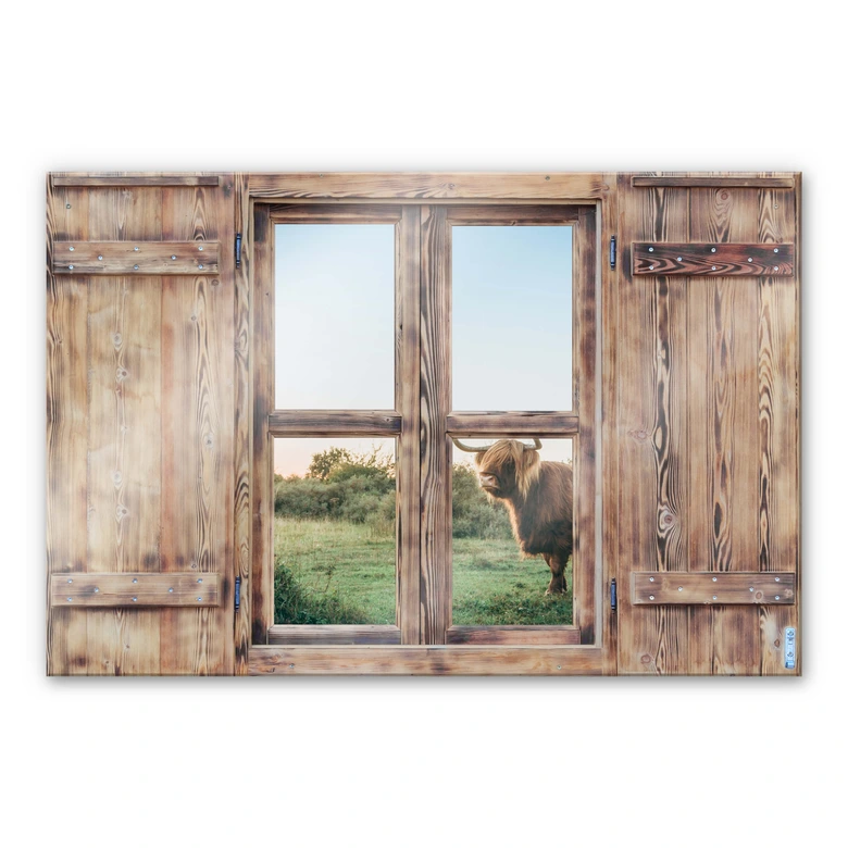 Glasbild 3D Holzfenster - Highland Cow 01 