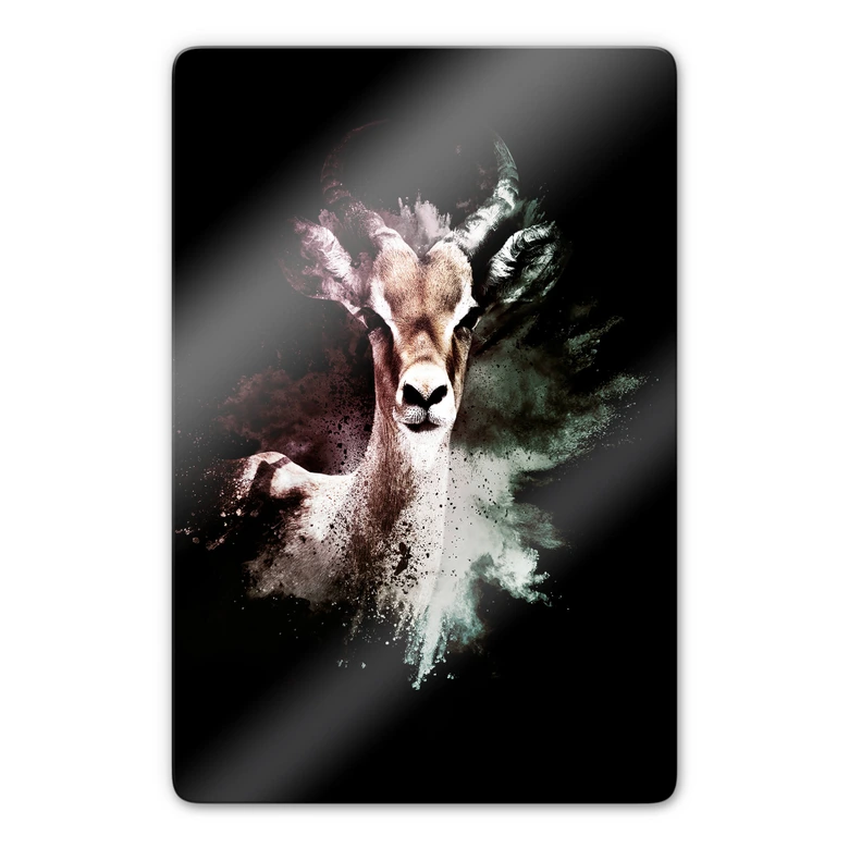 Glasbild Hugonnard - Wild Explosion: Antilope 