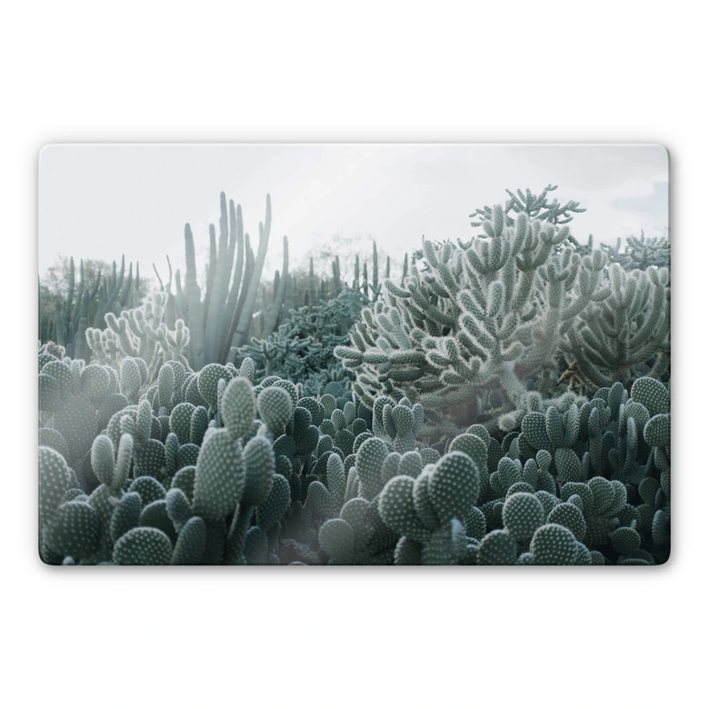 Glasschilderij Cactussen 
