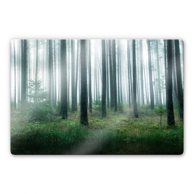 Glasbild Lindsten - Im Wald 