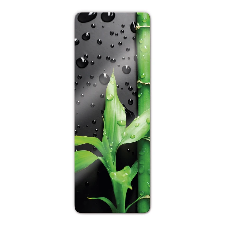 Glasbild Bamboo over Black - Panorama 