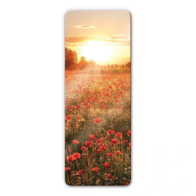 Poppy Field in Sunset 3 Panorama Glass art 