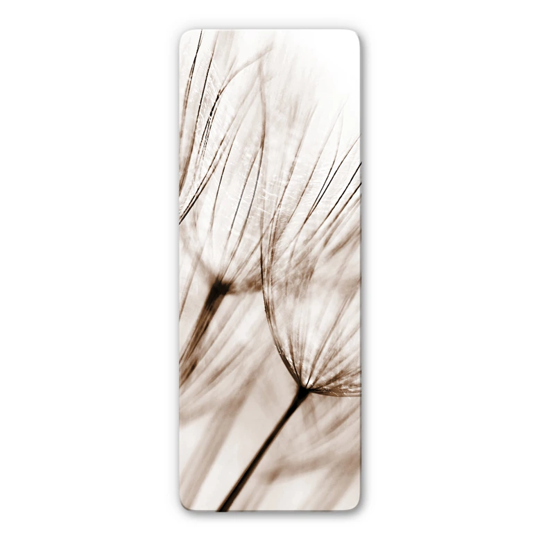 Dandelion Close-up Glass art - panorama 