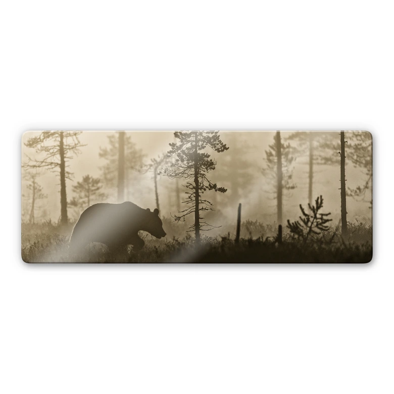 Glasbild Ove Linde - Nebel am Morgen - Panorama 