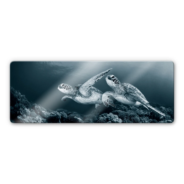 Tableau sur verre Narchuk - Deux tortues en voyage - Panorama 