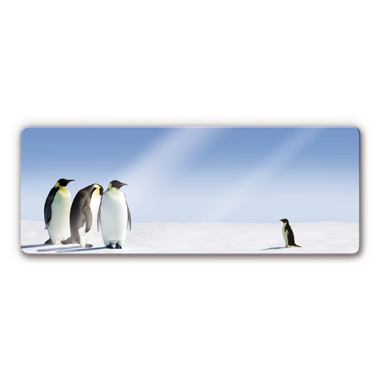 Tableau en verre - Manchots 