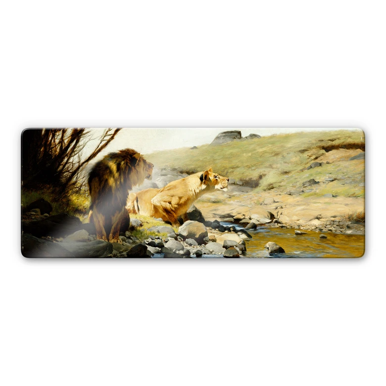 Tableau en verre - Kuhnert - Un lion et une lionne au bord d'un ruisseau 