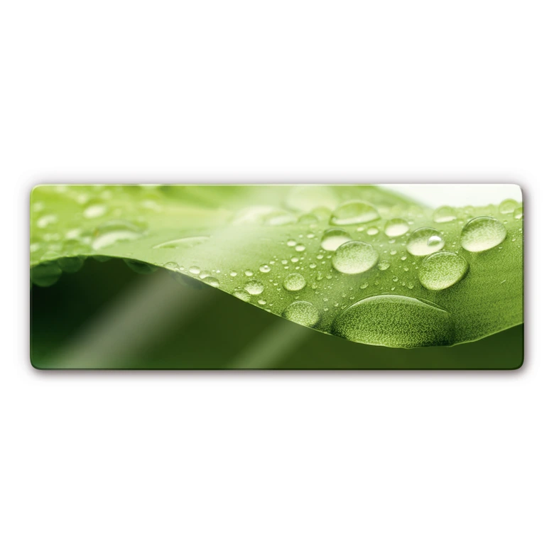 Glasbild Natur 3 - Panorama 