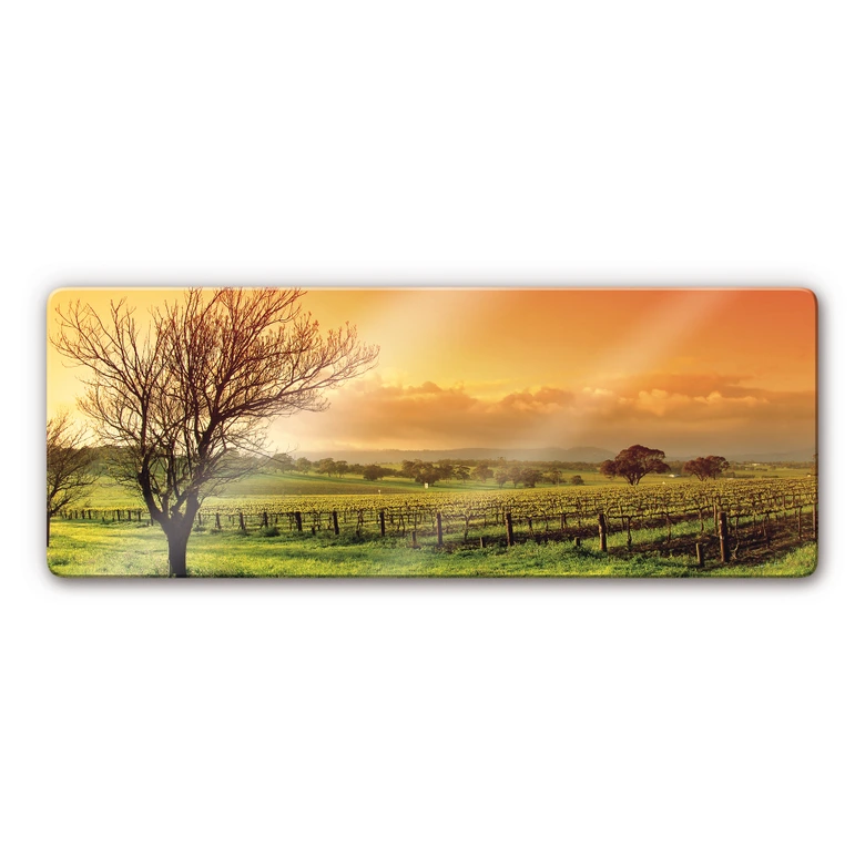 Vineyard Glass art - panorama 